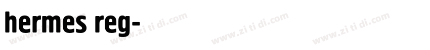 hermes reg字体转换